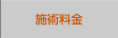 施術料金